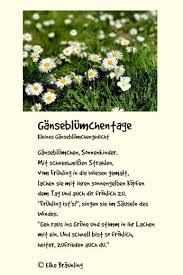 Ganseblumchentage Fruhlingsgedicht Fruhlingsgedichte Fur Kinder Ganseblumchen