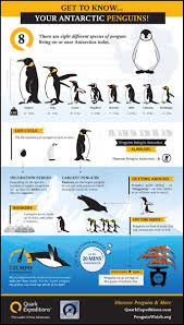 Amazing Antarctica In Photos The Planet D Travel Blog Penguin Facts Penguin Day Penguins