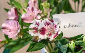 Visualizza altre idee su nomi di fiori, fiori, composizioni floreali. Fiori Recisi Zubini