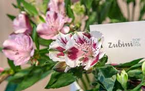 700 x 400 jpeg 414 кб. Fiori Recisi Zubini