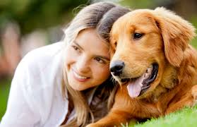 Canine Nutrition Courses Feline Nutrition Courses Dog Nutrition Courses Cat Nutrition