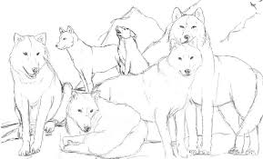 Wolves Pack Coloring Pages Wolf Pack Ranks Coloring Pages Wolf