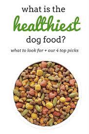 What Is The Healthiest Dog Food Ingredients Top Brands Healthy Dog Food Recipes Healthy Dog Food Brands Dog Food Recipes