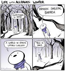 Imgur Com Allergies Funny Funny Pictures Comics