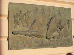 Image result for puklice