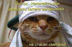 Я болею - прикольные картинки (35 фото) • Прикольные картинки и позитив