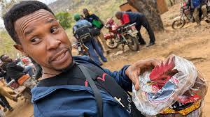 Sour Milk and Donkeys