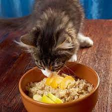 You should only give him small pieces, and only as an occasional treat. Can Cats Eat Peaches Are Peaches Safe For Cats Cattime Good Healthy Recipes Dry Cat Food Eat