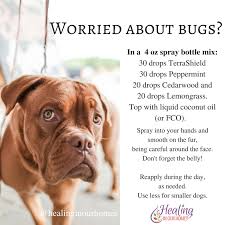 It has slowly gained millions of wellness advocates and fans all around the world. Doterra Essential Oils For Dogs Are They Safe Healing In Our Homes