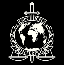 Organisation internationale de police criminelle, interpol international criminal police organization. Interpol Lyon Logo