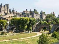 Seaquarium Le Grau Du Roi Grau Du Roi Aquarium Marin Phoque