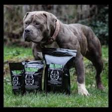 Our standard and xl american bully pitbulls are bred with those traits in mind, as well as breed type, temperament. Big Bully Uk We Specialise In Xl American Bully