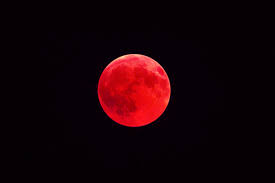 Ne mentinem inimile noastre inchise prin faptul ca nu ne vindecam durerile si preferam sa ne lingem ranile mai degraba decat sa eliberam furia adanca. Horoscop 2021 Luna Roz Aduce Bani BelÈ™ug È™i Creativitate Pentru Aceste Zodii Dcbusiness Ro