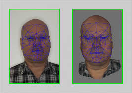 Avatars with faces of real people: A construction method for scientific  experiments in virtual reality