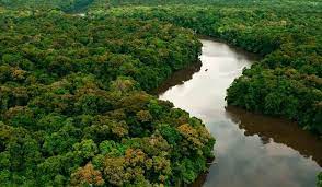 A Gazeta | Alemanha suspende parte de verba que iria para a Amaz&ocirc;nia