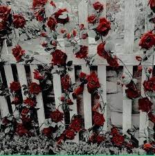 Aesthetic / grunge / 90's / iphone / wallpapers | see more about wallpaper, background and aesthetic. Aesthetic Red Background Nature And Red Image 7628824 On Favim Com