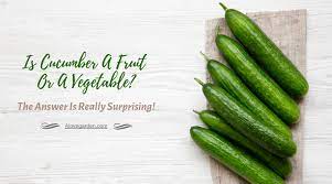 Is Cucumber A Fruit Or A Vegetable The Answer Is Really Surprising