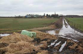 Add/edit a biography add a video report an error. Morast Wiktionary