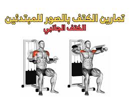 تمارين الكتف بالصور للمبتدئين Shoulder Workout Workout Shoulder