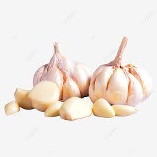 We did not find results for: Gambar Bawang Putih Yang Sihat Dan Sekumpulan Bawang Putih Yang Dikupas Clipart Bawang Putih Bawang Putih Tanaman Png Dan Clipart Untuk Muat Turun Percuma