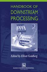 Handbook Of Downstream Processing E Goldberg Springer