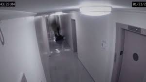 Keutamaan membaca bismikallahumma kisah harb bin umayyah dan umayyah bin shalt didatangi ular siluman yang akhirnya membunuh harb bin . 3 Bacaan Doa Mengusir Jin Dan Setan Dari Rumah