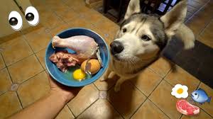 Expert reviews of best food for huskies. What Feeding Raw To My Husky Looks Like Youtube