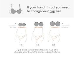 Sister Sizes The Bra Secret Every Woman Should Know Bra