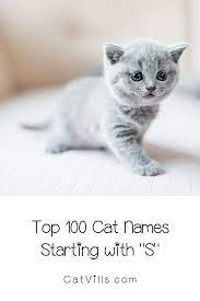 Feel free to browse our names and be sure to add the ones you like to your favorites list. 100 Sweet Cat Names Starting With S Cute Cat Names Girl Cat Names Cute Animal Names