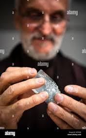 Inhorgenta hi-res stock photography and images