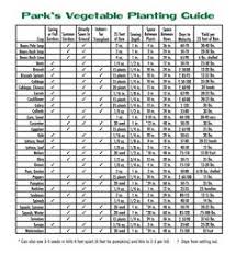 Plant fruit trees far enough from shade trees to provide. 10 Zone 5 Fruit Tree Ideas Indoor Vegetable Gardening Garden Planning Zone 5