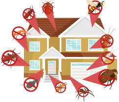 Pest control and exterminator services serving entire las vegas metro area. 24 Hour Pest Control Las Vegas Nv 89110 Pest Exterminators Near Me