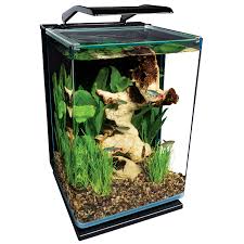 Marineland 5 Gallon Portrait Glass Led Aquarium Kit Petco In 2020 Glass Fish Tanks Aquarium Kit Betta Fish Tank
