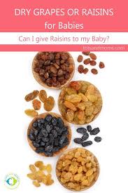 Dry Grapes Or Raisins Syrup For Babies The Best Natural Sweetener For Weaning Baby Dried Fruit Recipe Grape Recipes For Babies Grape Recipes