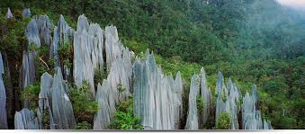 Although the humid and balmy tropical climate remains almost unchanged in malaysia and one can plan. Where To Go In Malaysia Things To Do While In Malaysia