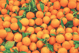Light (yellow) + love (red) = orange we do what we do because we are convinced that. Orange Harvest In Eastern Hills Up 50 Percent