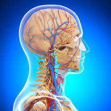 Manufacturing Intelligence The Central Nervous System Of Your Plant The Delmia Blog