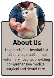 The prices were very reasonable for all shots and tests it cost us about $150 which included neutering and flea treatment. Highlands Pet Hospital Huntersville Nc Home
