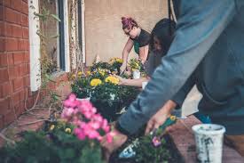The Big Carrot Uma Conto Curta De Minnesota 1958 Reeditado Em 3 2009 Em Britanico E Hisp In 2020 Plants Gardening Courses Planting Flowers