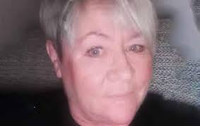 The Somerset Leveller