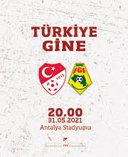 Gine millî futbol takımı, gine'yi uluslararası arenada temsil eden futbol takımıdır. Ec6abitrb04tvm