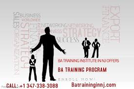 Ba Training Institute In Nj Offers Business Analyst Training Program In Nj For Professionals Intere Business Analyst Career Training Programs Business Analyst