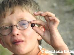 Montana's Mysterious Huckleberry