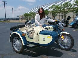 3 Hunde Motorrad Fahren Motorrad Madchen Motorrad