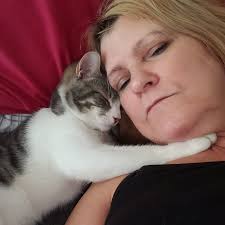 Milo Kitty. Help find please. 317-519-5193