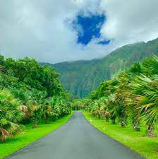You can easily spend a leisurely day seeing the sights and exploring what the area has to offer. Ho Omaluhia Botanical Garden Oahu Hawaii Outdoors