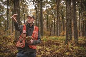 From Crisis to Treasure: Black Moshannon Foresters Restore a ...