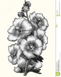 Maybe you would like to learn more about one of these? 20 What Different Type Of Drawing Of Flowers I Like Ideas Flower Drawing Drawings Flower Sketches