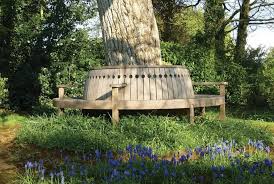 Trova immagini stock hd a tema rusty circular seat around old tree e milioni di altre foto, illustrazioni e contenuti vettoriali stock royalty free nella vasta raccolta di shutterstock. Broadwalk Tree Seat By Gaze Burvill Ltd