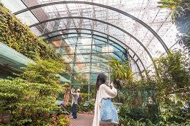 Butterfly Garden Singapore 2021 All You Need To Know Before You Go With Photos Singapore Singapore Tripadvisor